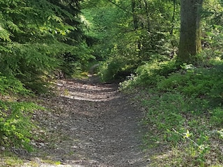 Vakantiehuis Ebeltoft  41