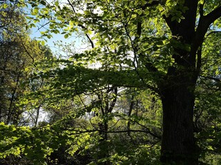 Maison de vacances Ebeltoft  17