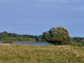 Ferienhaus Ebeltoft  43