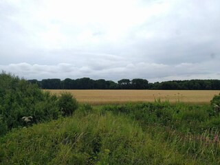 Ferienhaus Otterup  5