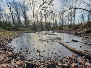 Ferienhaus Otterup  11