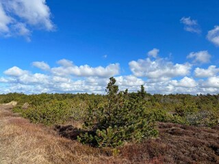 Holiday house Ulfborg  32