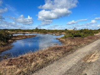 Ferienhaus Ulfborg  35