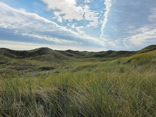 Holiday house Ulfborg  21