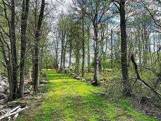 Ferienhaus Skruv  17