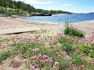 Maison de vacances Strömstad  12
