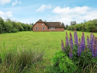 Ferienhaus Vester Husby  17