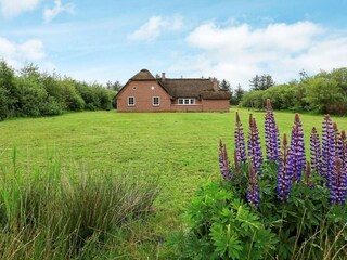 Maison de vacances Vester Husby  35