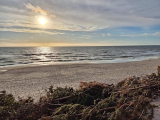 Ferienhaus Vester Husby  39