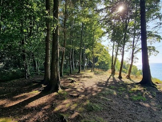 Casa per le vacanze Høll  17