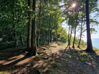 Ferienhaus Høll  18