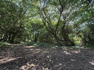 Casa de vacaciones Høll  9