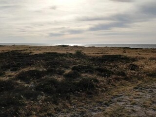 Vakantiehuis Skaven Strand  31