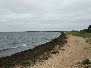 Vakantiehuis Skaven Strand  8