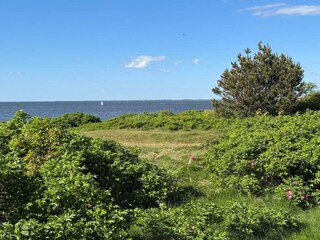 Vakantiehuis Skaven Strand  46