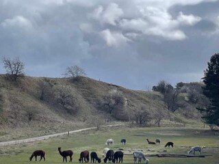 Casa per le vacanze Østby  15