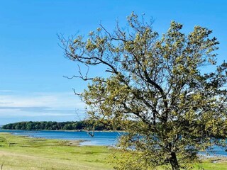 Casa per le vacanze Østby  25
