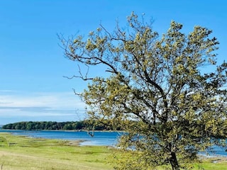 Ferienhaus Østby  32