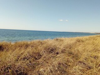 Ferienhaus Kramnitse  32