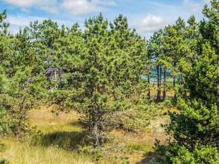 Vakantiehuis Fjellerup Strand  13