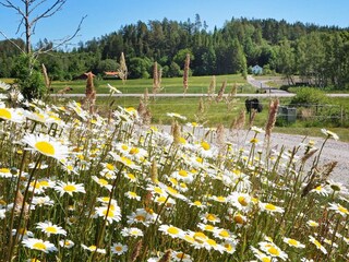 Holiday house Lilla Edet  25