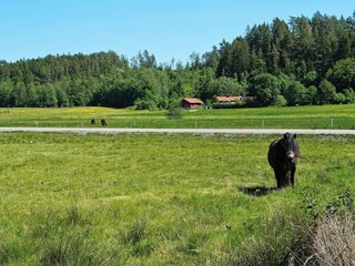 Holiday house Lilla Edet  26