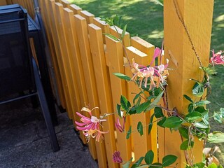 Casa de vacaciones Marielyst Grabación al aire libre 2