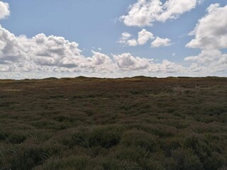 Vakantiehuis Henne Strand  54