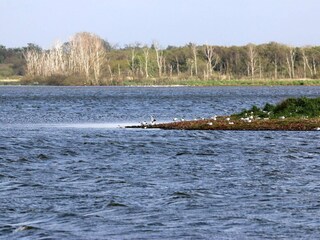 Vakantiehuis Henne Strand  55