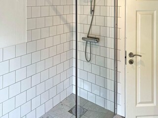 Ferienhaus Dalshult  11