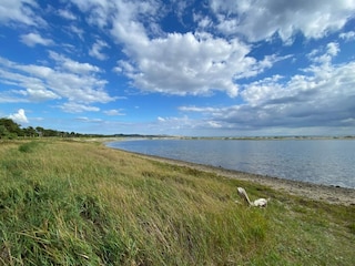 Holiday house Aarhus  36