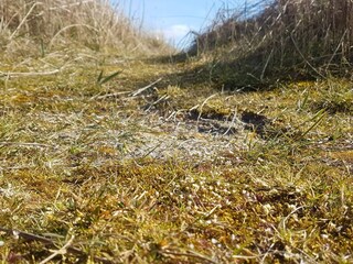 Casa per le vacanze Sydals  15