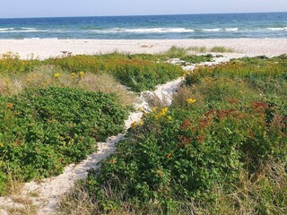 Vakantiehuis Sydals  26