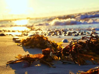 Holiday house Sydals  15