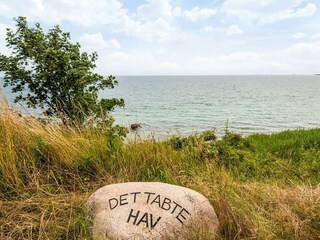 Casa per le vacanze Odder  14