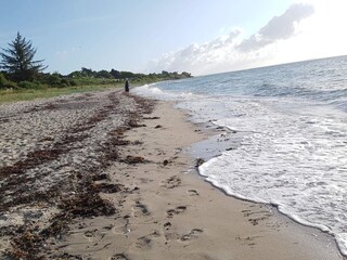 Ferienhaus Odder  33