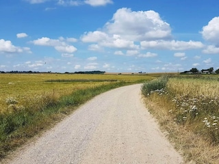 Ferienhaus Sønderballe  24