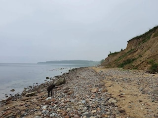 Ferienhaus Sønderballe  26