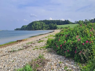 Vakantiehuis Sønderballe  42