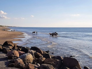 Maison de vacances Lønstrup  10
