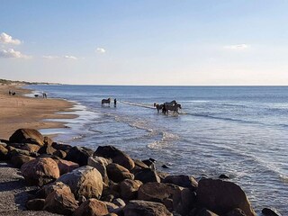 Casa per le vacanze Lønstrup  37