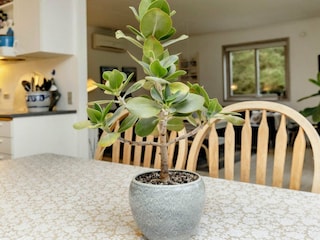 Ferienhaus Lønstrup  31