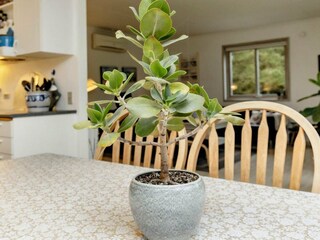 Casa per le vacanze Lønstrup  12