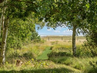 Vakantiehuis Als  17