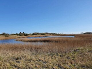 Casa de vacaciones Gedser  10