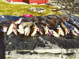 Ferienhaus Folkestad  41