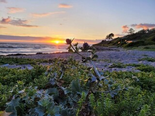 Casa per le vacanze Kelstrup Strand  24