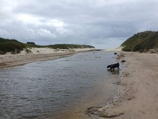 Vakantiehuis Henne Strand  9
