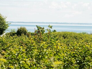 Vakantiehuis Sydals  17