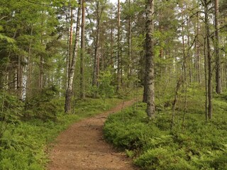 Vakantiehuis Tenhult  13